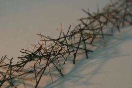 Mettler Landschaftsarchitektur