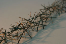 Mettler Landschaftsarchitektur