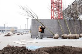 Mettler Landschaftsarchitektur