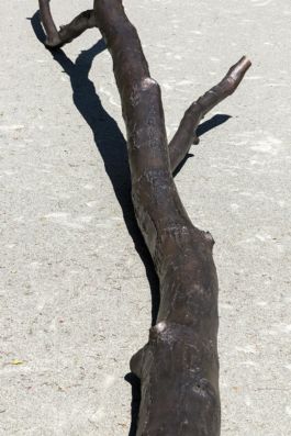 Mettler Landschaftsarchitektur