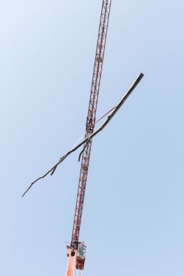 Mettler Landschaftsarchitektur