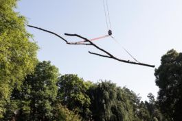 Mettler Landschaftsarchitektur