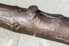 Mettler Landschaftsarchitektur