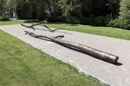 Mettler Landschaftsarchitektur