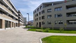 Mettler Landschaftsarchitektur