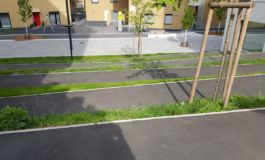 Mettler Landschaftsarchitektur