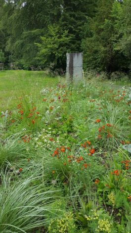 Mettler Landschaftsarchitektur