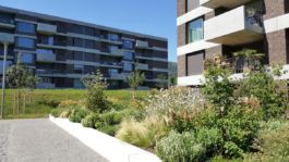 Mettler Landschaftsarchitektur