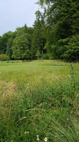 Mettler Landschaftsarchitektur