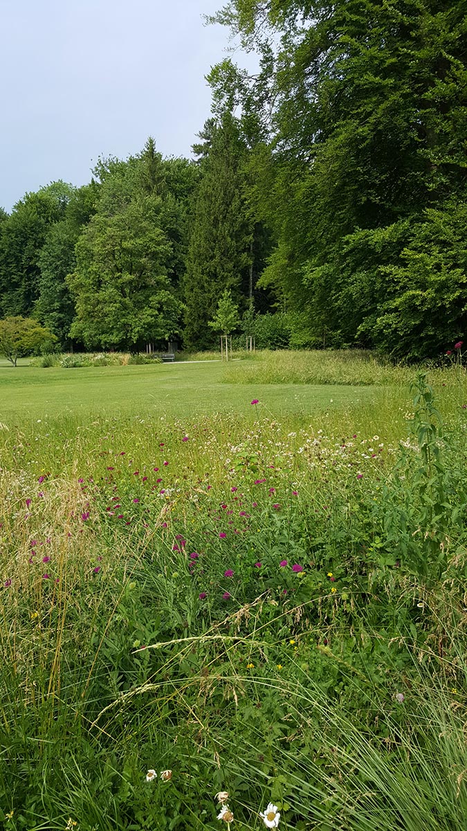 Mettler Landschaftsarchitektur Münchwilen Alfred Sutter Park