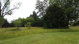 Mettler Landschaftsarchitektur