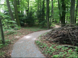 Mettler Landschaftsarchitektur