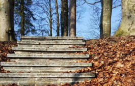 Mettler Landschaftsarchitektur