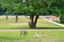 Mettler Landschaftsarchitektur