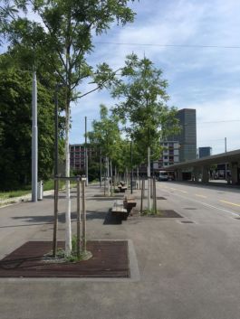 Mettler Landschaftsarchitektur