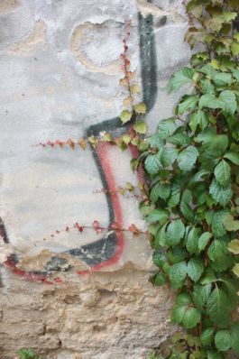 Mettler Landschaftsarchitektur