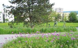 Mettler Landschaftsarchitektur