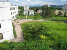 Mettler Landschaftsarchitektur