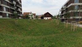 Mettler Landschaftsarchitektur