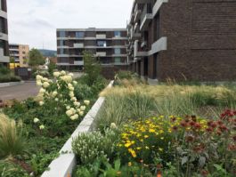 Mettler Landschaftsarchitektur