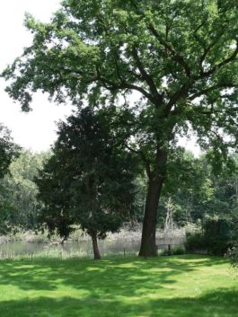 Mettler Landschaftsarchitektur