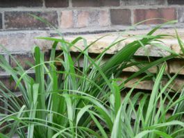 Mettler Landschaftsarchitektur