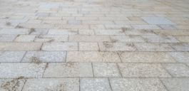 Mettler Landschaftsarchitektur