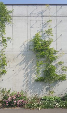 Mettler Landschaftsarchitektur