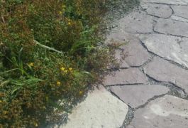 Mettler Landschaftsarchitektur