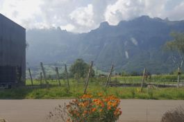 Mettler Landschaftsarchitektur