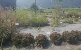 Mettler Landschaftsarchitektur