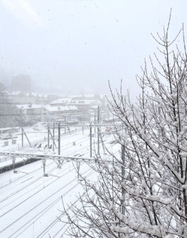 Mettler Landschaftsarchitektur